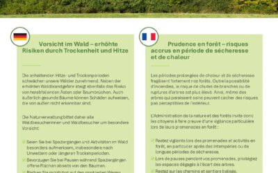 Die Naturverwaltung informiert – Vorsicht im Wald