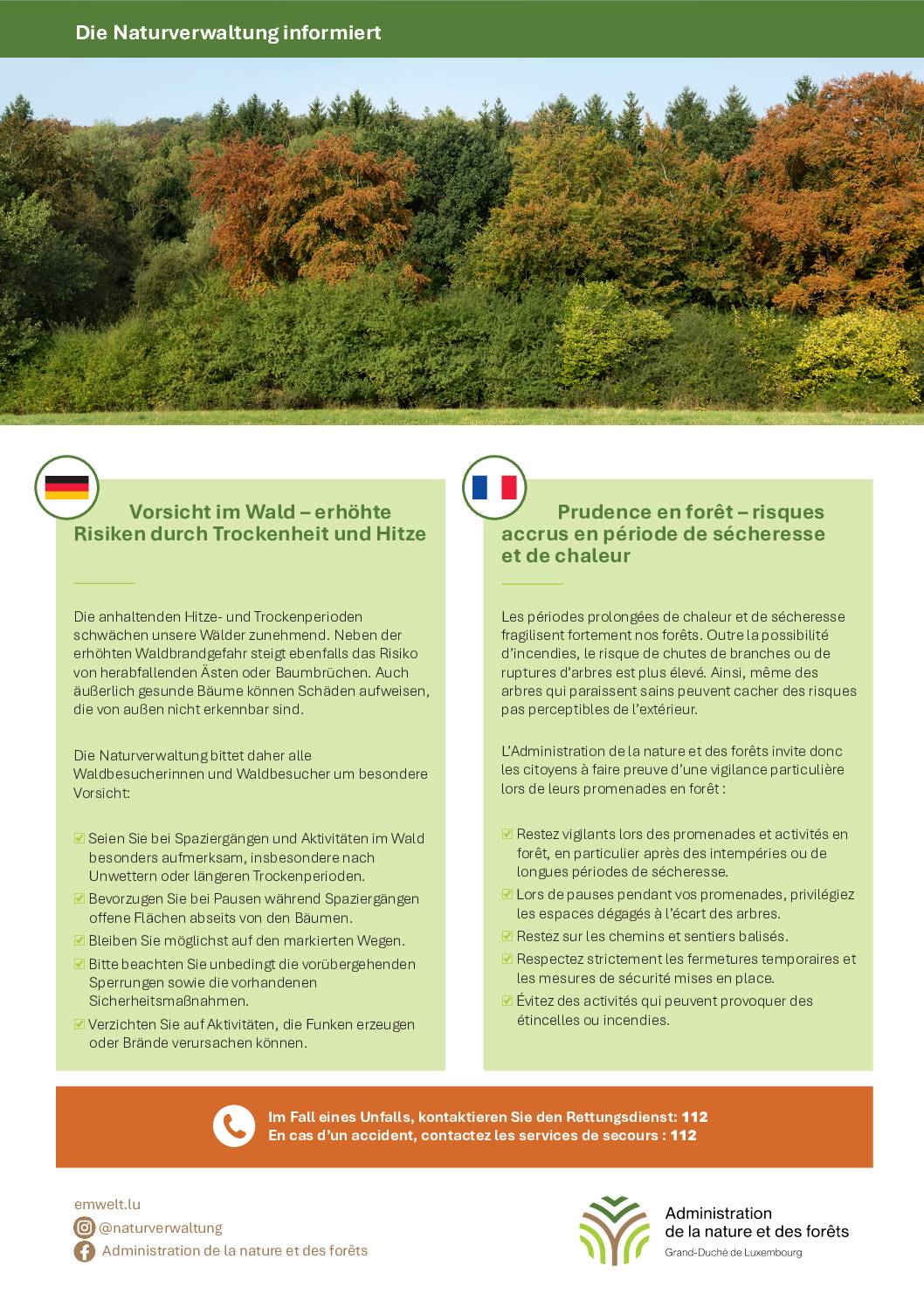 Die Naturverwaltung informiert - Vorsicht im Wald